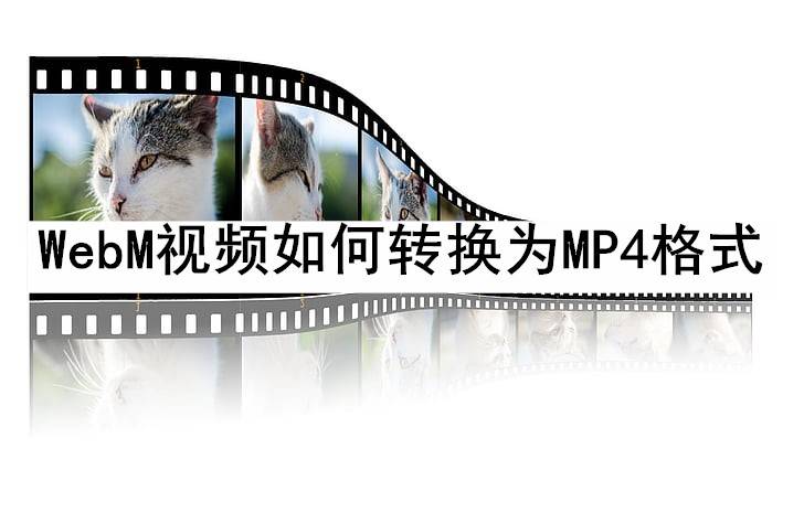 手机视频格式转换器:WebM视频如何转换为MP4格式？